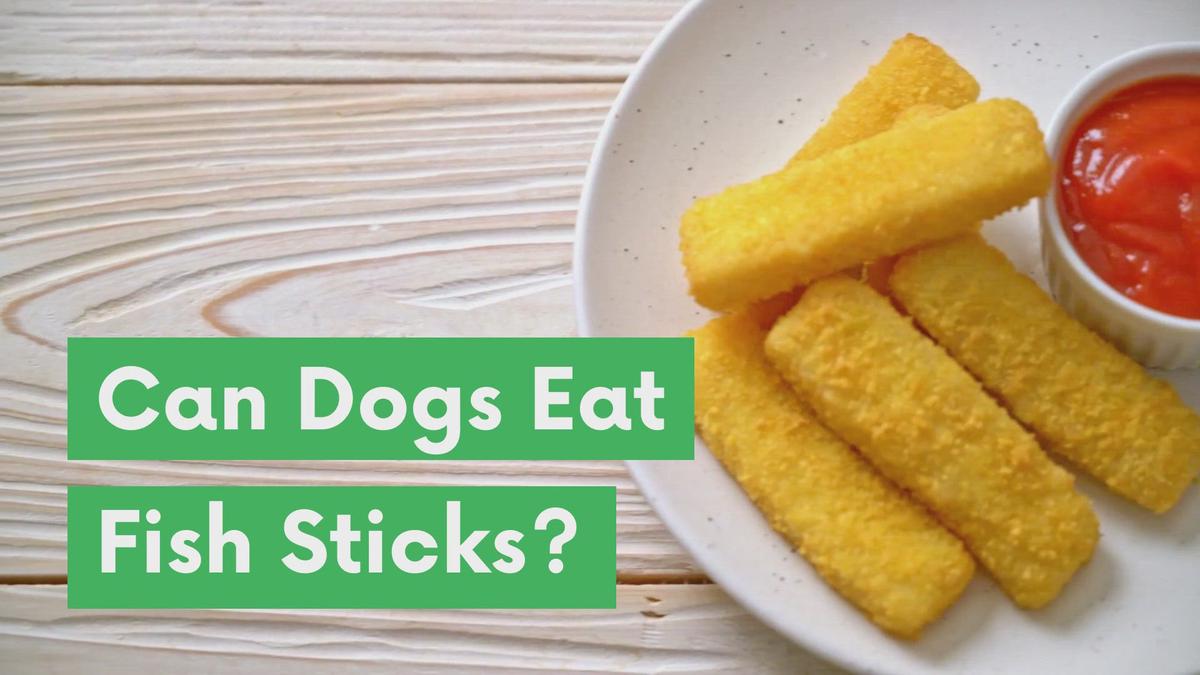 'Video thumbnail for Can Dogs Eat Fish Sticks?'