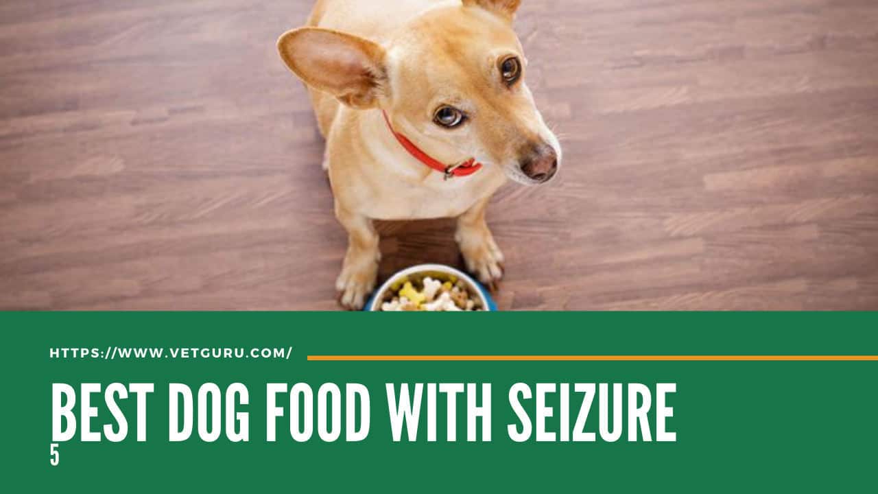 best dog food for dog with seizure