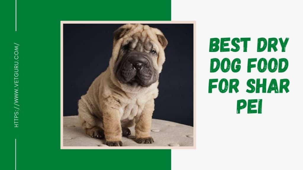 Best Dog Food for Shar Pei of 2021