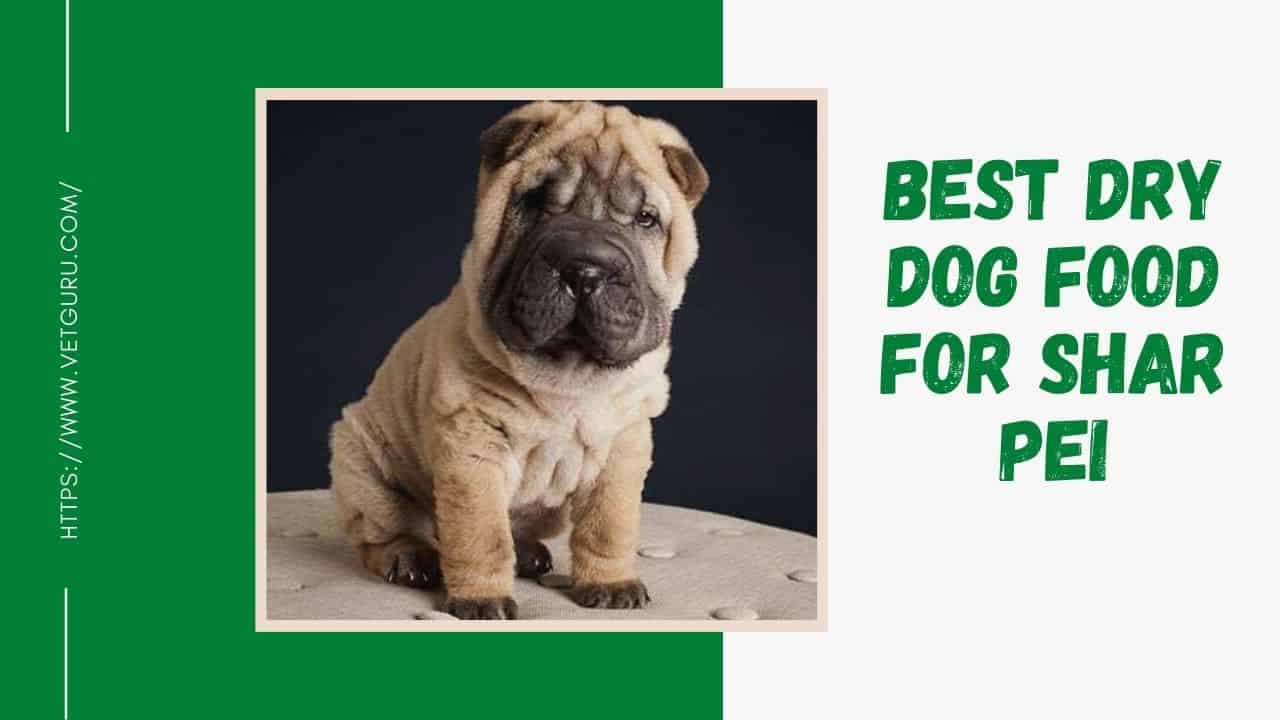 best dry dog food for shar pei