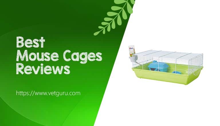 Best Mouse Cages Reviews