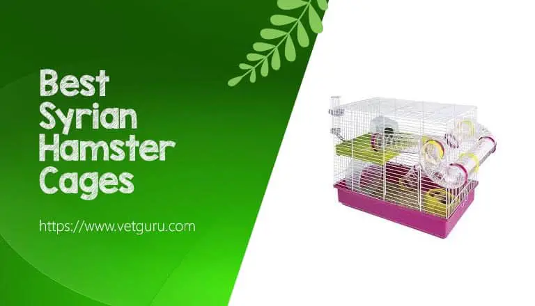 Best Syrian Hamster Cages
