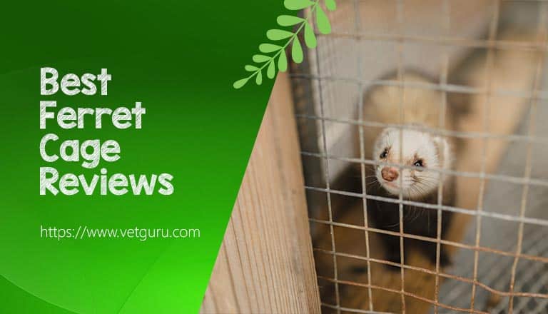 best ferret cage