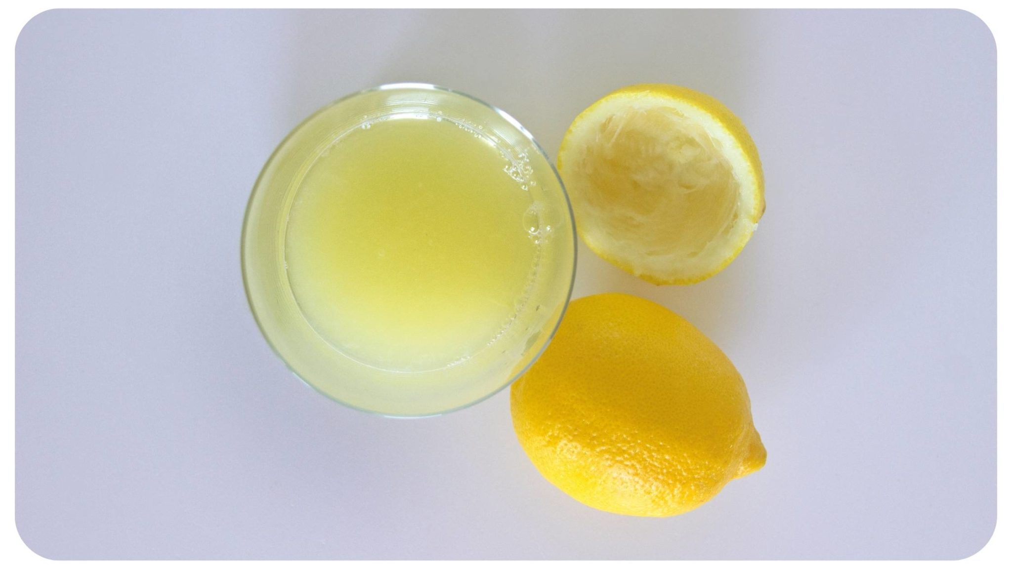 Can Cats Eat Lemon? The Essential Guide to Keeping Your Cat Safe