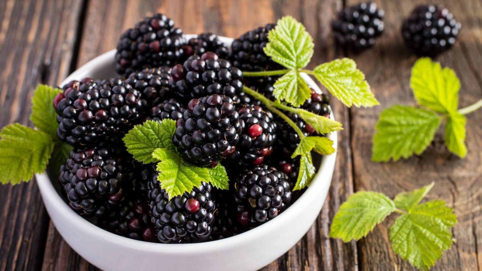 Can Dogs Eat Blackberries? Are They Safe for Dogs?