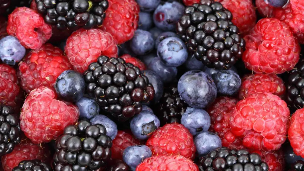 What berries are toxic to dogs_
