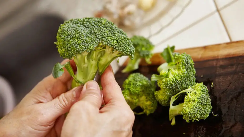 What part of broccoli can bunnies eat