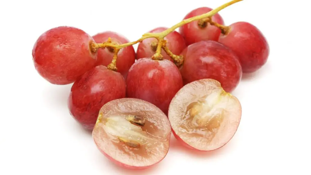Will my dog be OK if he ate one grape 7 can dogs eat grapes Will my dog be OK if he ate one grape