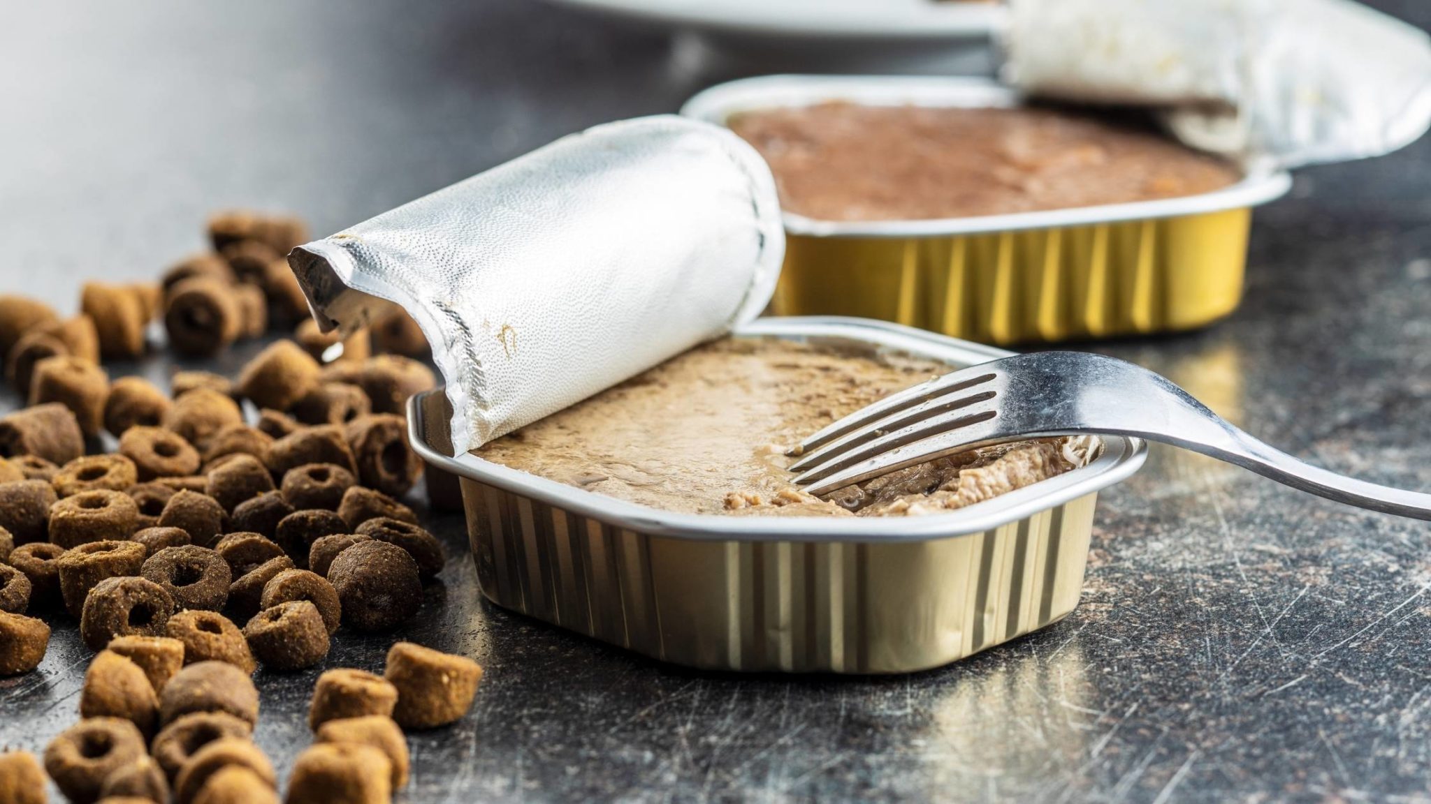 Best Dog Food for Dobermans in 2021 What You Should Buy