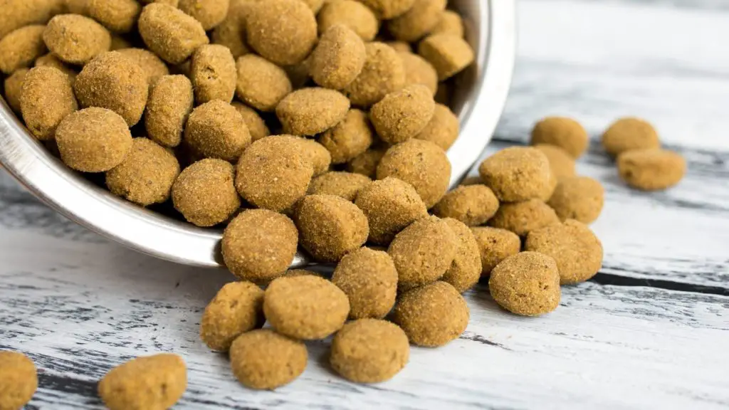 best dry food for doberman 14 best dog food for dobermans best dry food for doberman
