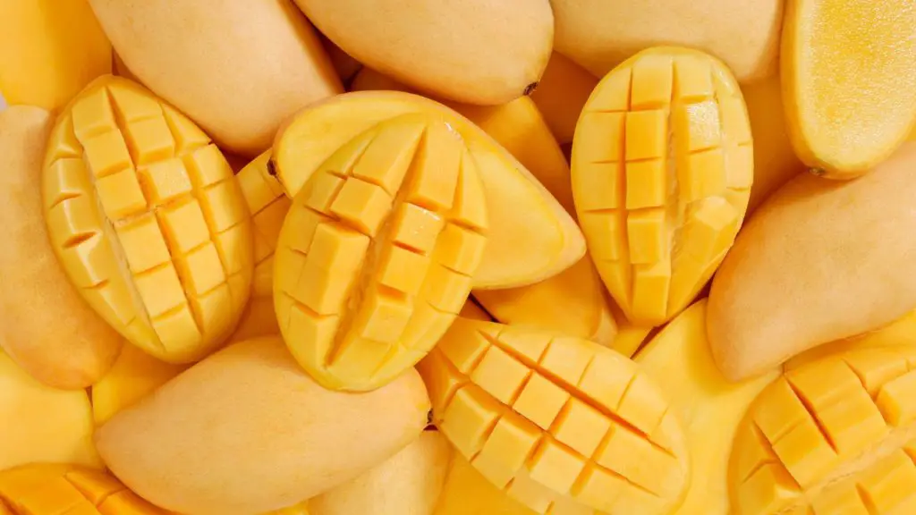 Can Dogs Eat Mango? Are Mangoes Good or Bad For Dogs?