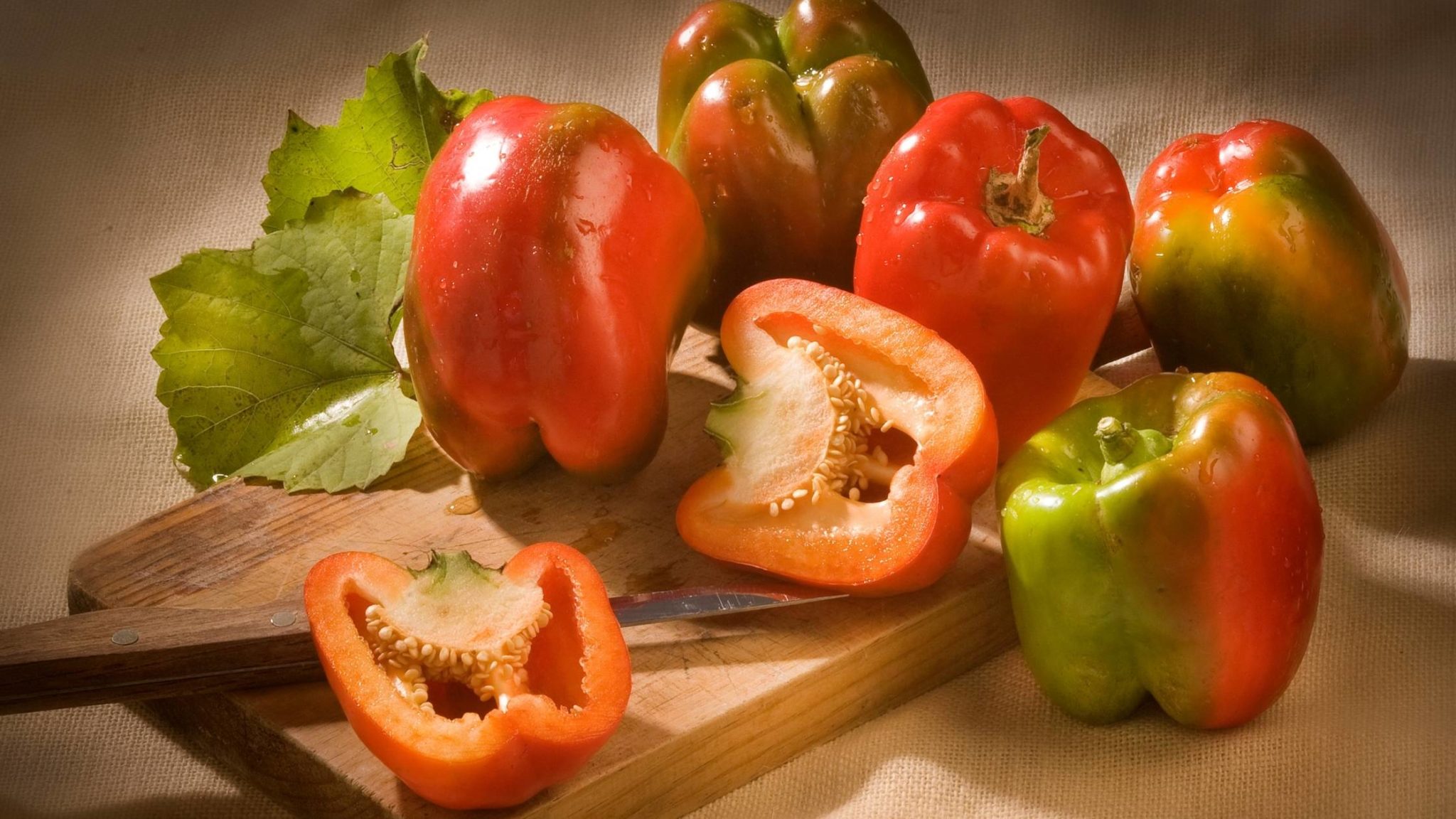 Can Hamsters Eat Peppers Benefits, Risks, and More