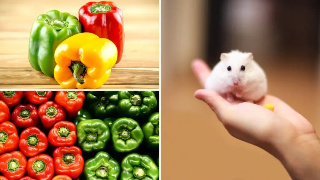 are peppers ok for hamsters