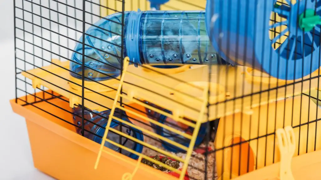 teddy bear hamster cage