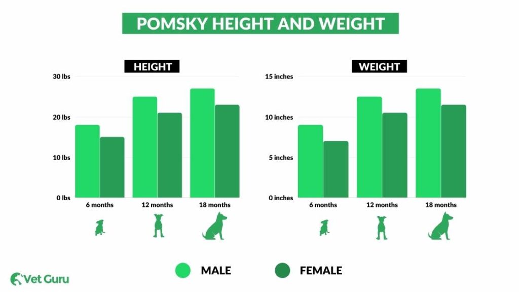 5 6 pomskies pomskies