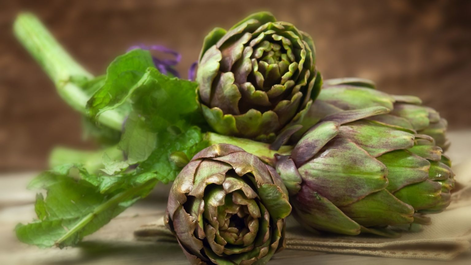 Can Dogs Eat Artichokes Everything You Need to Know About