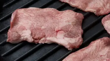 Can Dogs Eat Cooked Cow Tongue Is It Safe Can Dogs Eat Cooked Cow Tongue Is It Safe
