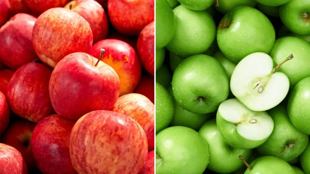 Can Gerbils Eat Apple Skin