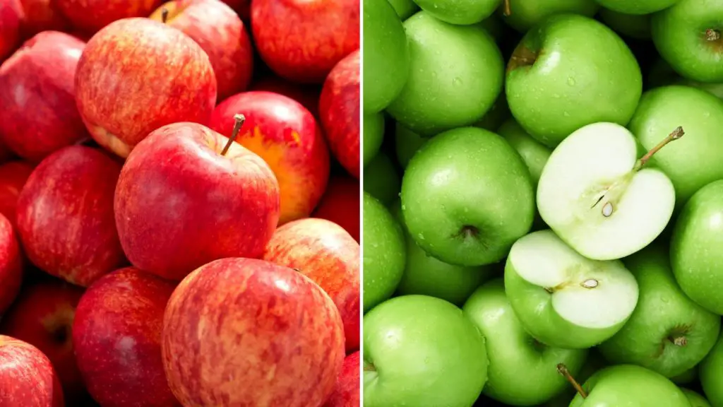 Can Gerbils Eat Apple Skin 3 Can Gerbils Eat Apples Can Gerbils Eat Apple Skin