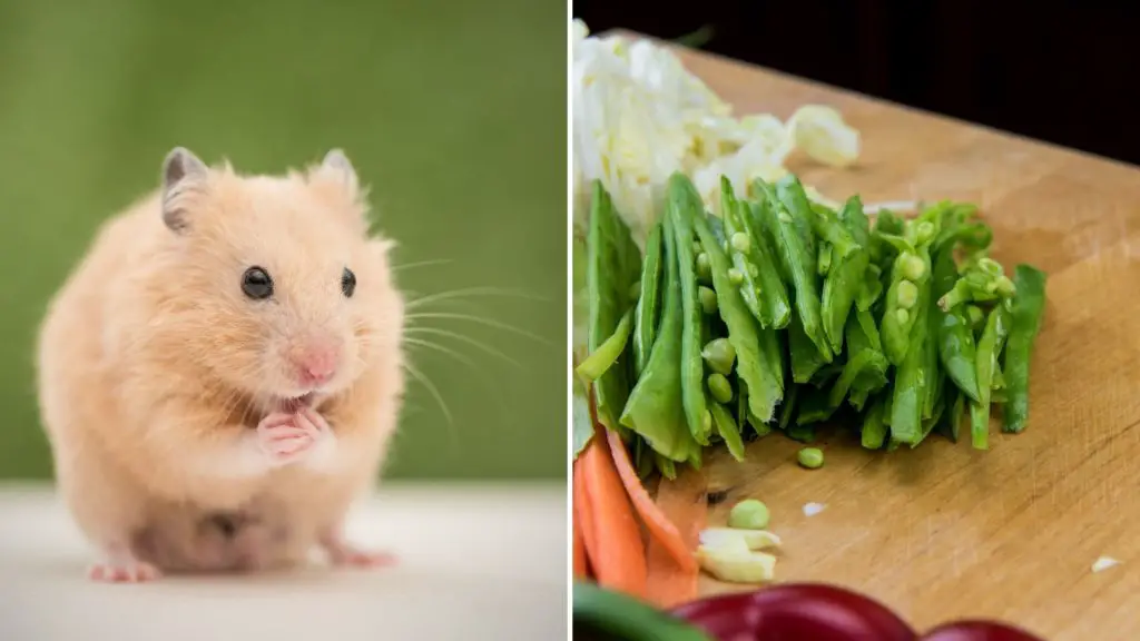 Can Hamsters Eat Cooked Snow Peas