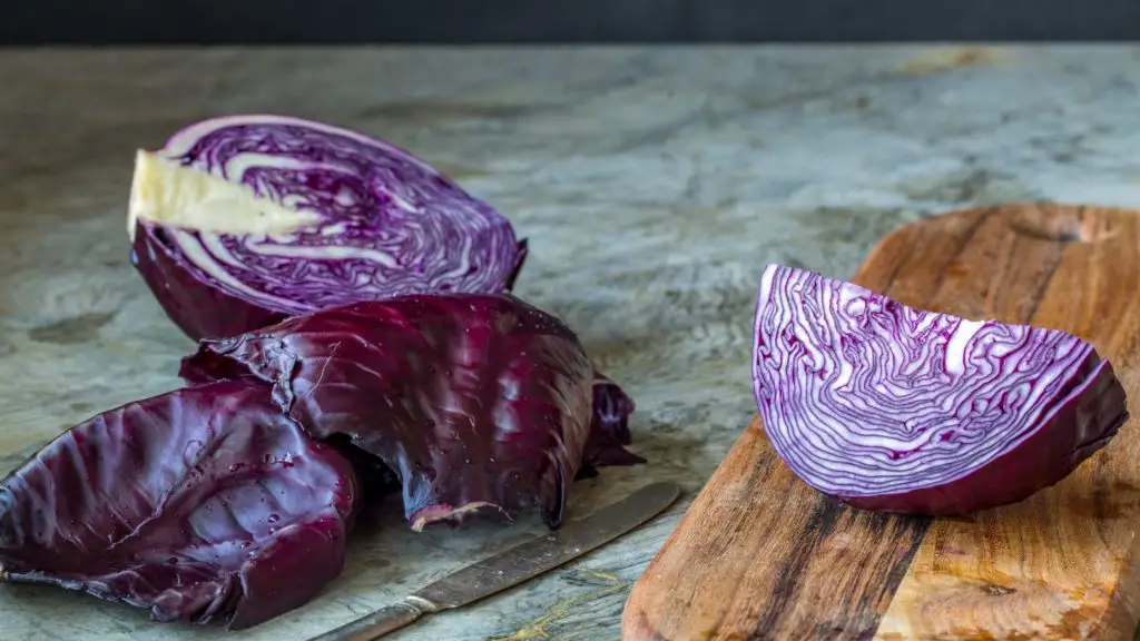 Can Red Cabbage Kill Hamsters