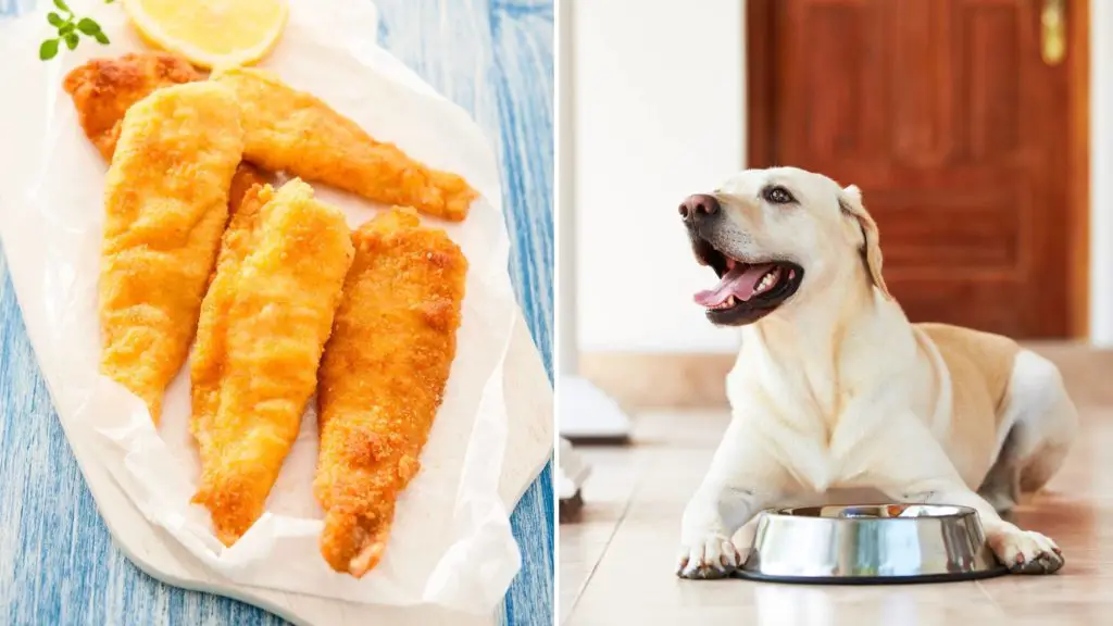 Can dogs eat breaded fish
