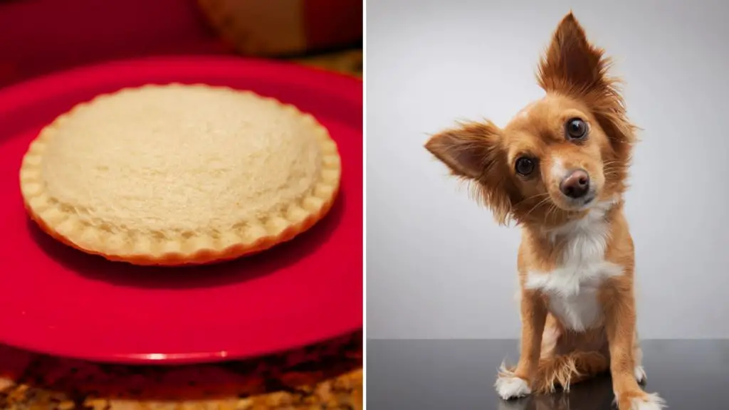 Health Benefits of Uncrustables for Dogs