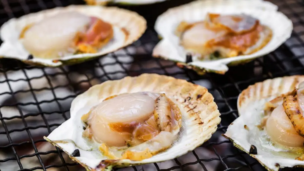 How Many Scallops Can Dogs Eat 6 Can Dogs Eat Scallops How Many Scallops Can Dogs Eat