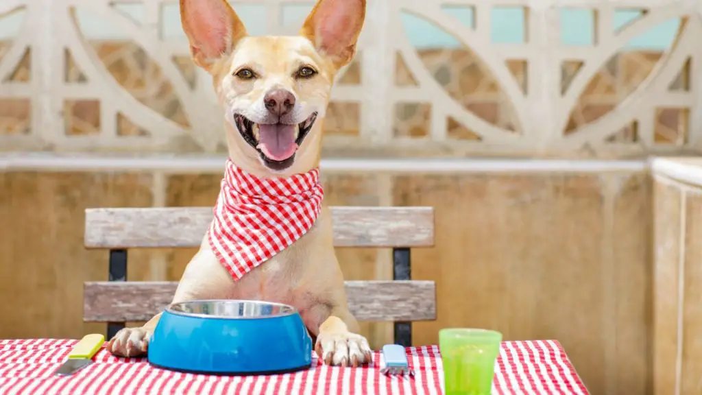 How Much Cow Tongue Can Dogs Eat