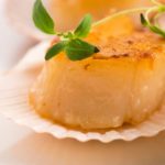 How to Prepare Scallops for Dogs