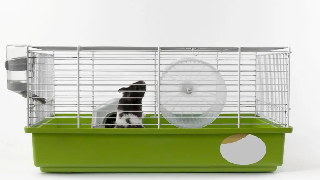 Panda Hamster Cage 4 Panda Hamster Cage