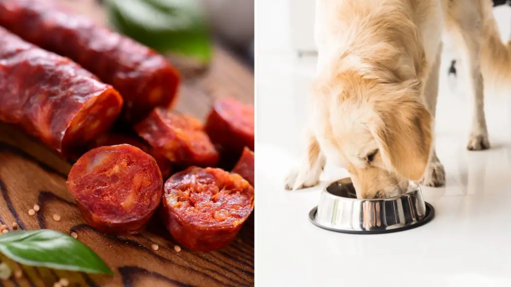 Side Effects of Chorizo for Dogs
