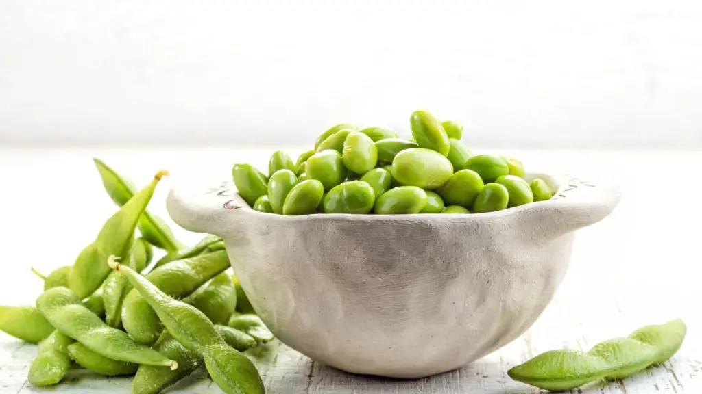 What Kind of Edamame Can My Dog Eat 6 Can Dogs Eat Edamame What Kind of Edamame Can My Dog Eat