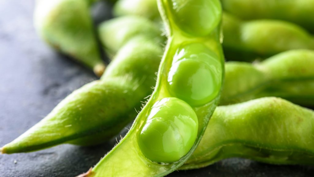 Will Edamame Give My Dog Side Effects