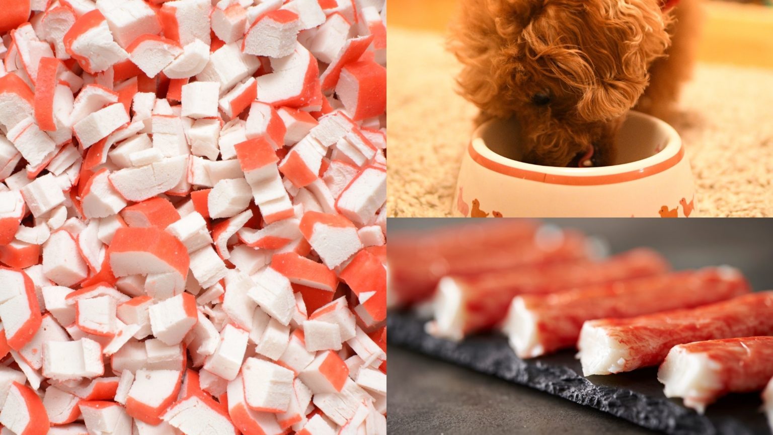 Can Dogs Eat Fish Sticks The Complete Guide