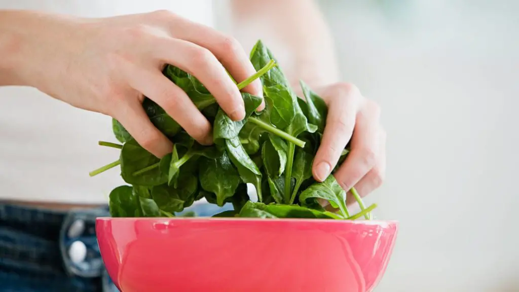 is spinach safe for cats