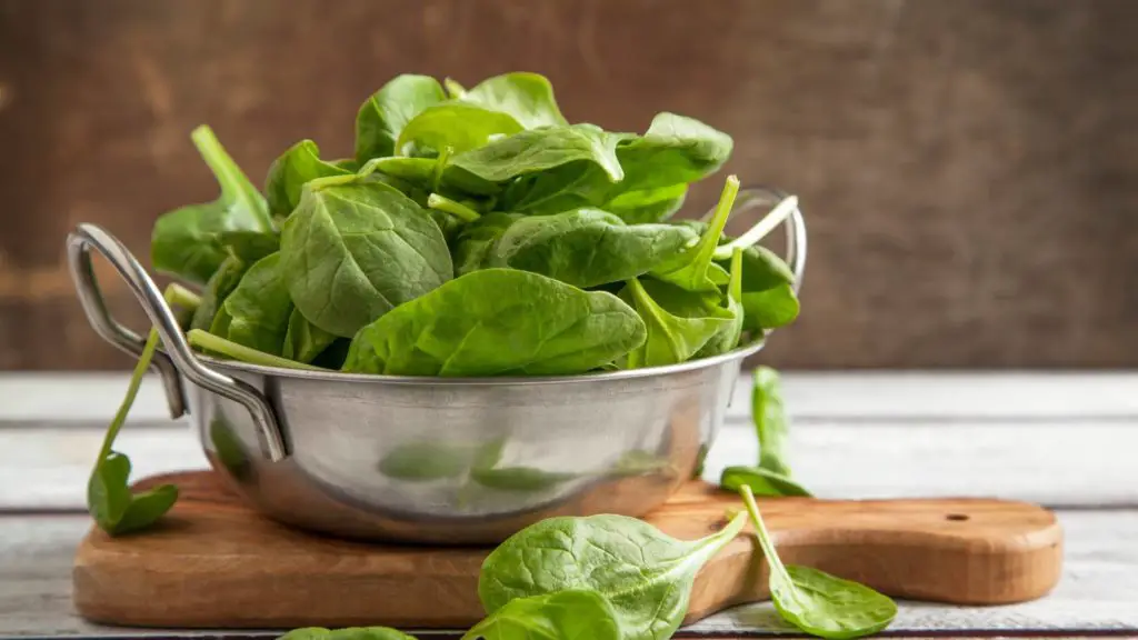 spinach for cats 6 can cats eat spinach spinach for cats