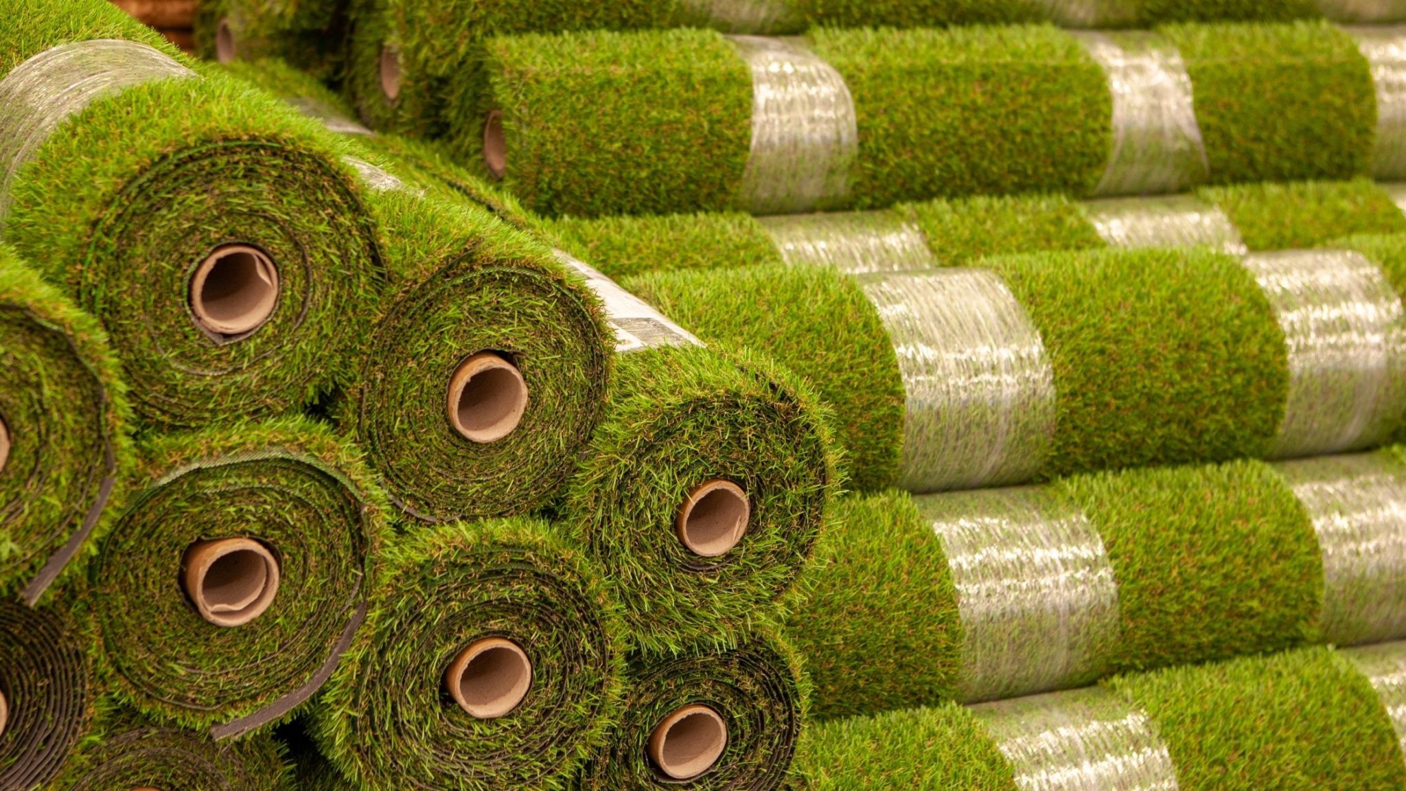 Can Dogs Be Allergic to Artificial Grass The Guide