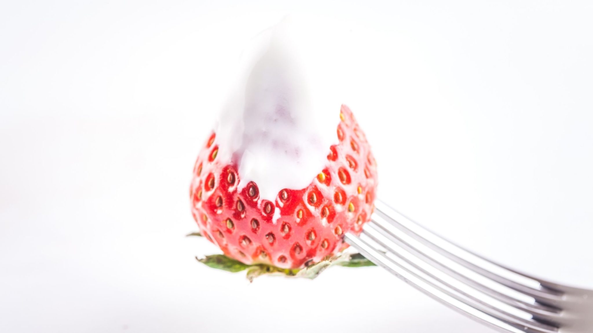 Can Dogs Eat Yogurt Melts? Everything You Need to Know