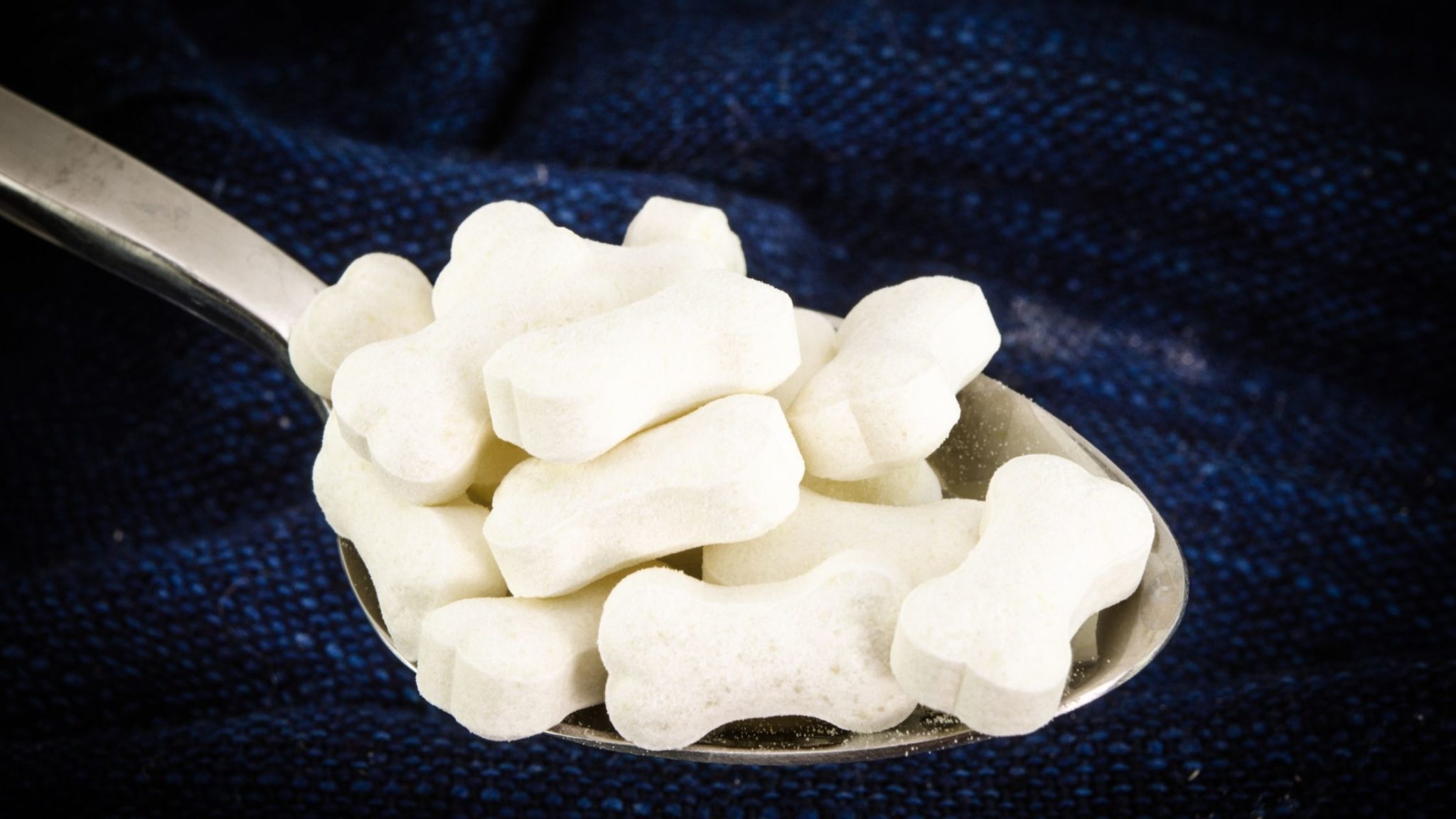 Can Dogs Eat Yogurt Melts? Everything You Need to Know