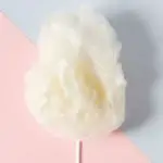 How Much Cotton Candy Can Dogs Eat