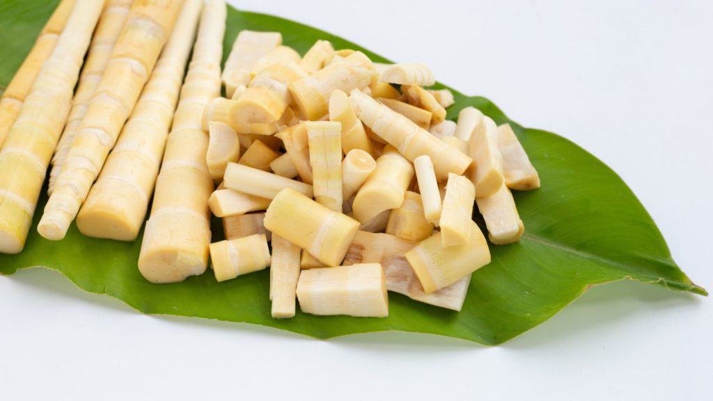 Are bamboo shoots poisonous to dogs?