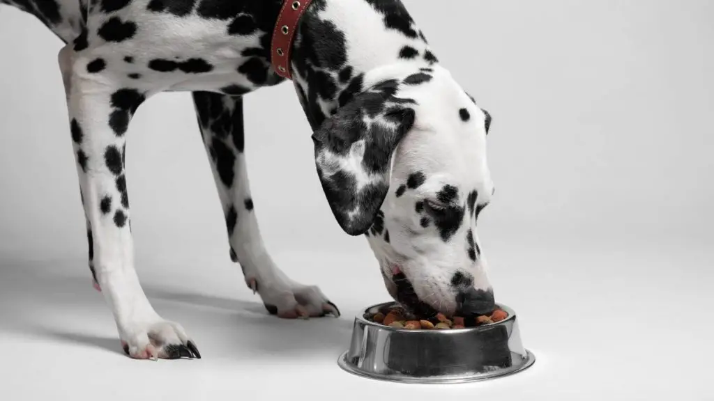 Are capers dangerous to dogs Can it cause kidney failure 3 Can Dogs Eat Capers Are capers dangerous to dogs? Can it cause kidney failure?