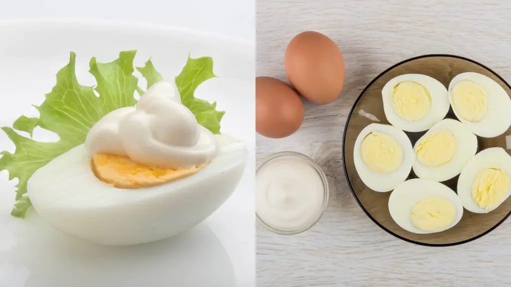 Can dogs eat boiled eggs and mayo 6 Can Dogs Eat Egg Salad? Can dogs eat boiled eggs and mayo?