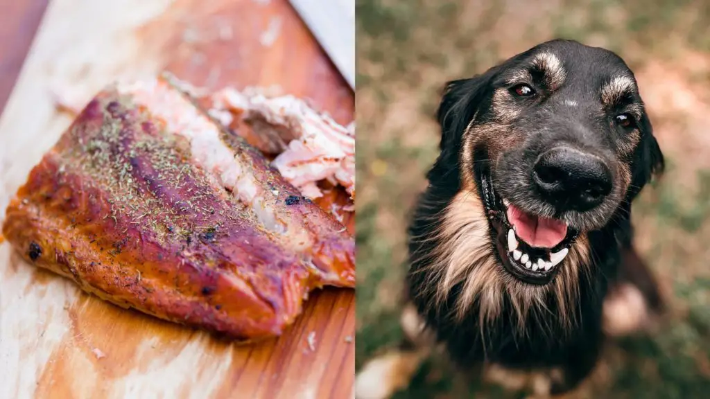 Can dogs eat smoked salmon?