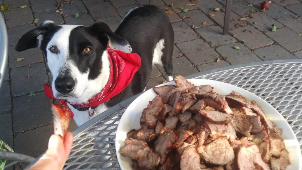 Can dogs eat steak pieces?