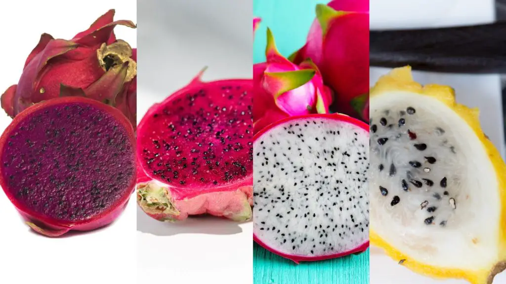 Different types of dragon fruit