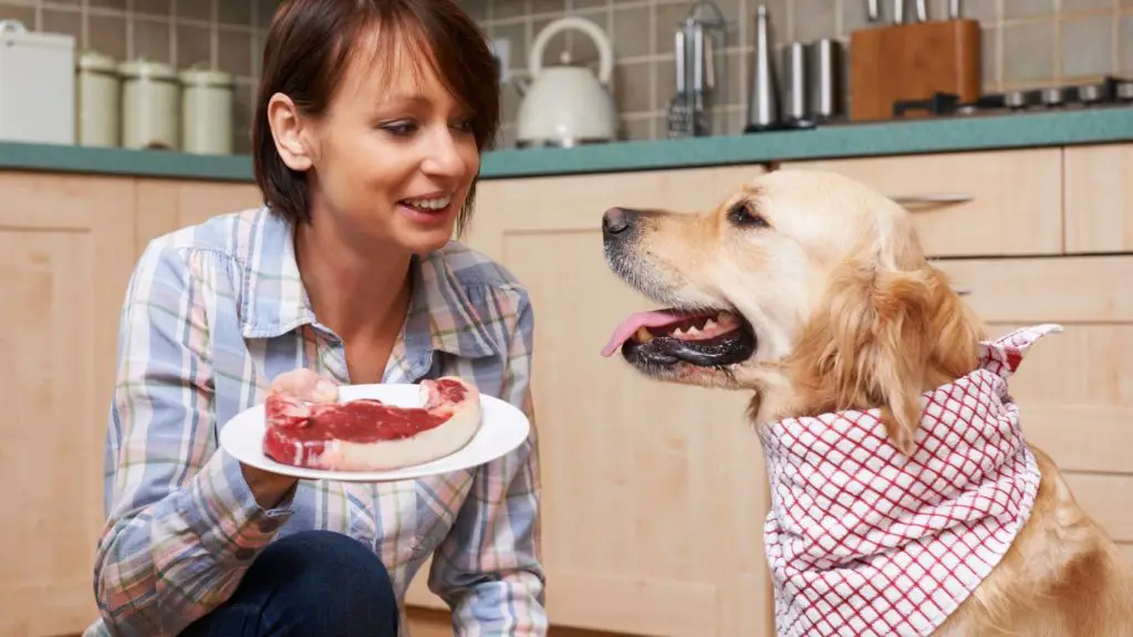 What happens if dogs eat steak fat?