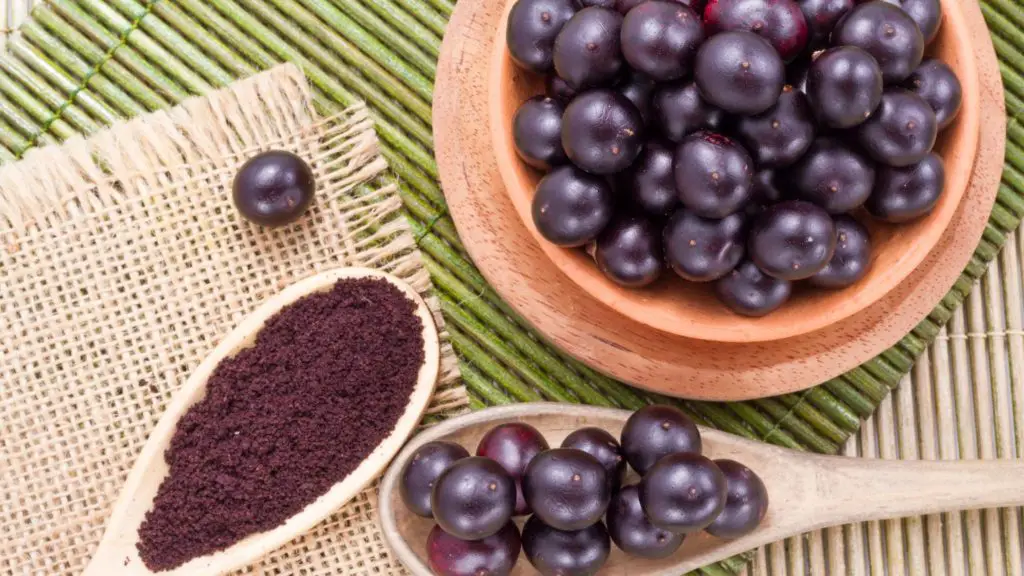 What happens if my dog eats acai 5 can dogs eat acai What happens if my dog eats acai?