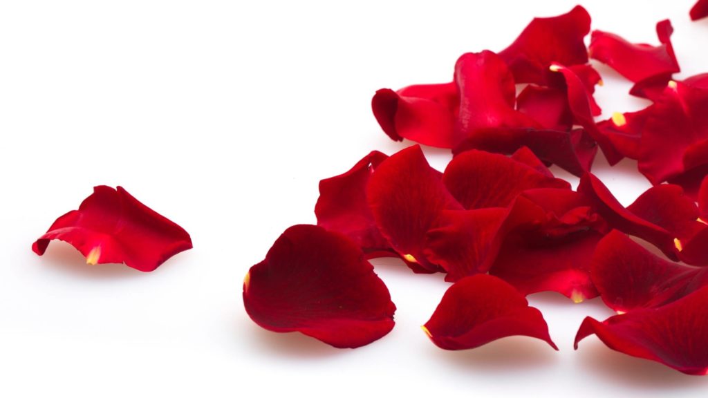 What happens when a dog eats a rose petal?